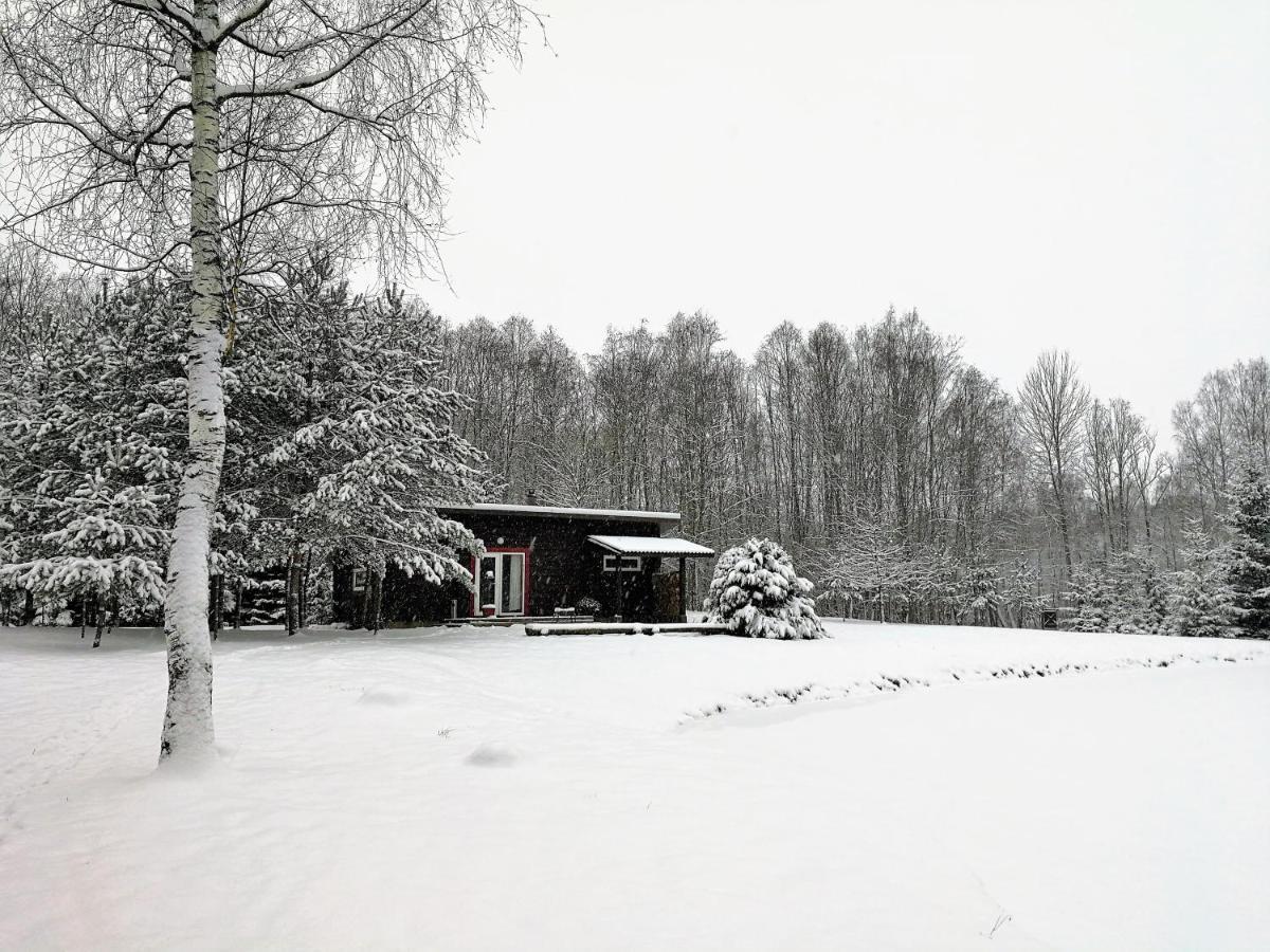 Aliai Pensionat Utena Exteriör bild